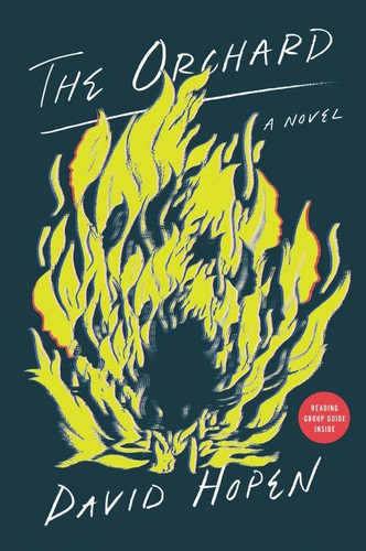 The Orchard: A Novel book cover by David Hopen