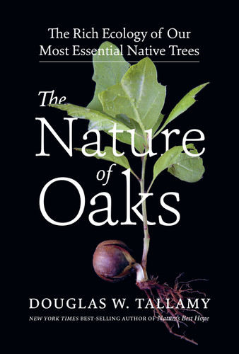 The Nature of Oaks: The Rich Ecology of Our Most Essential Native Trees book cover by Douglas W. Tallamy
