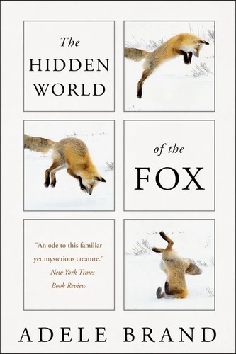 The Hidden World of the Fox book cover by Adele Brand