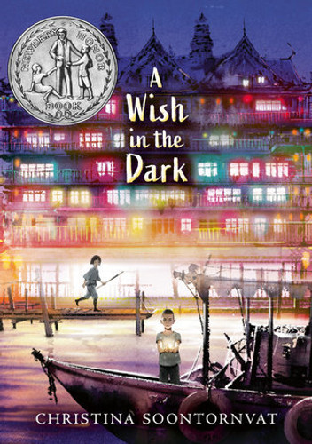 A Wish in the Dark [9781536204940]