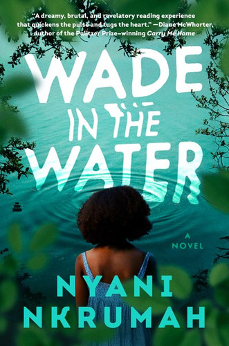 Wade in the Water - Cover