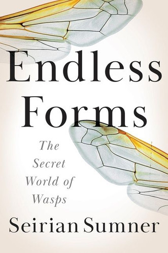 Endless Forms: The Secret World of Wasps book cover by Seirian Sumner