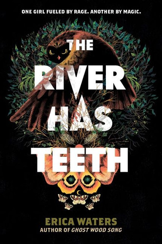 The River Has Teeth book cover by Erica Waters