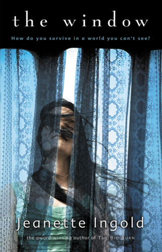 The Window book cover by Jeanette Ingold