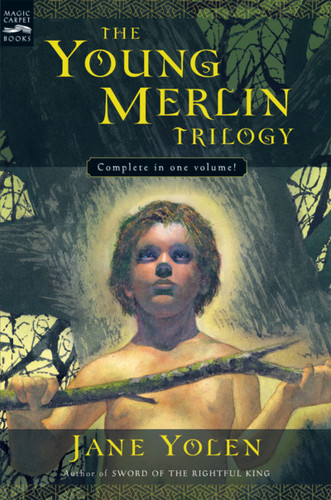 The Young Merlin Trilogy: Passager, Hobby, and Merlin book cover by Jane Yolen