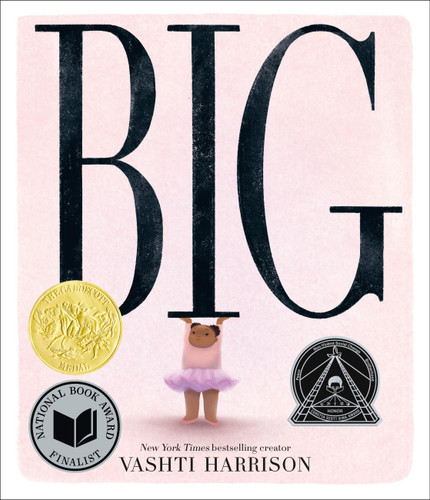 Big (Caldecott Medal Winner & Coretta Scott King Honor Title) book cover by Vashti Harrison