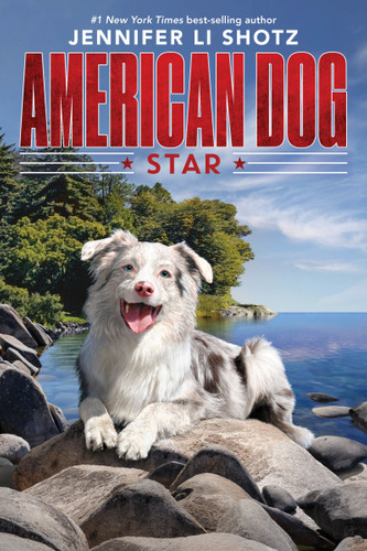 Star (American Dog) book cover by Jennifer Li Shotz