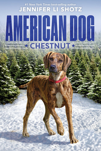 Chestnut (American Dog) book cover by Jennifer Li Shotz