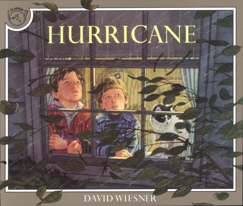 Hurricane book cover by David Wiesner