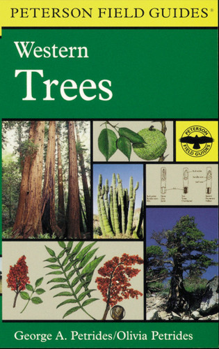 A Peterson Field Guide To Western Trees: Western United States and Canada (Peterson Field Guides #31) book cover by Roger Tory Peterson, Olivia Petrides