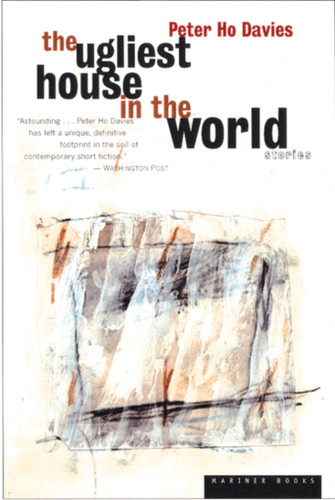 The Ugliest House In The World: Stories book cover by Peter Ho Davies