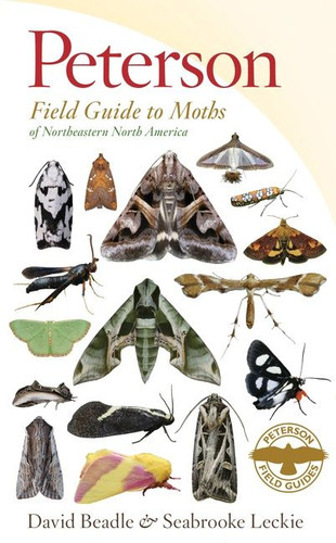 Peterson Field Guide To Moths Of Northeastern North America (Peterson Field Guides) book cover by David Beadle, Seabrooke Leckie