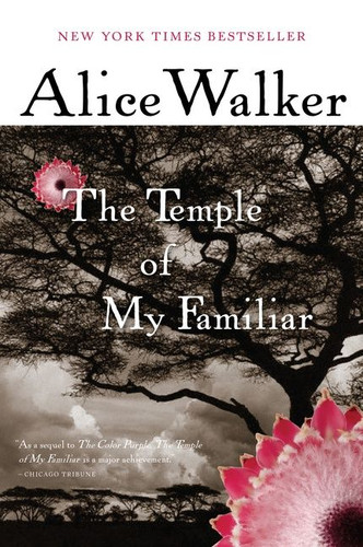 The Temple Of My Familiar book cover by Alice Walker