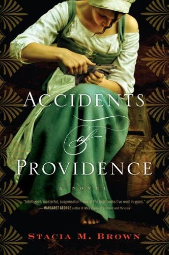 Accidents Of Providence book cover by Stacia Brown