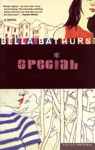 Special: A Novel book cover by Bella Bathurst