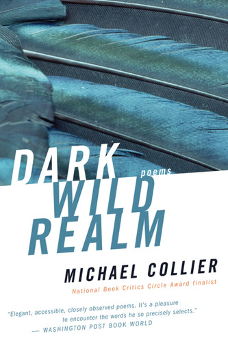 Dark Wild Realm book cover by Michael Collier