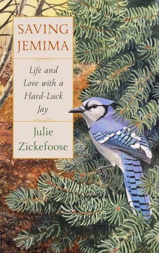 Saving Jemima: Life and Love with a Hard-Luck Jay book cover by Julie Zickefoose