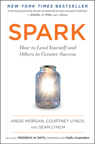 Spark: How to Lead Yourself and Others to Greater Success book cover by Angie Morgan, Courtney Lynch, Sean Lynch