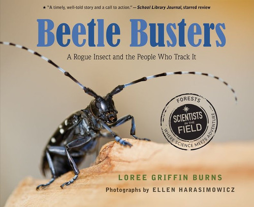 Beetle Busters: A Rogue Insect and the People Who Track It (Scientists in the Field) book cover by Loree Griffin Burns
