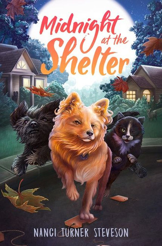 Midnight at the Shelter book cover by Nanci Turner Steveson