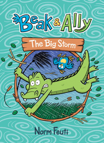 Beak & Ally #3: The Big Storm: A Graphic Novel (Beak & Ally #3) book cover by Norm Feuti