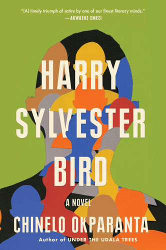 Harry Sylvester Bird: A Novel book cover by Chinelo Okparanta