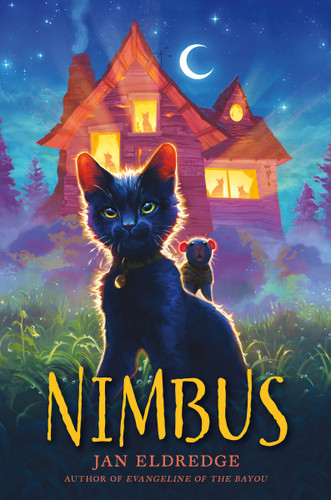Nimbus book cover by Jan Eldredge