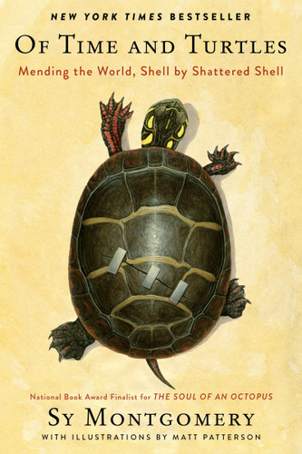 Of Time and Turtles: Mending the World, Shell by Shattered Shell book cover by Sy Montgomery