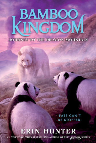 Bamboo Kingdom #3: Journey to the Dragon Mountain (Bamboo Kingdom #3) book cover by Erin Hunter