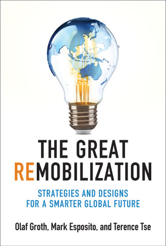 The Great Remobilization: Strategies and Designs for a Smarter Global Future book cover by Olaf Groth
