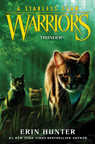 Warriors: A Starless Clan #4: Thunder (Warriors: A Starless Clan #4) book cover by Erin Hunter