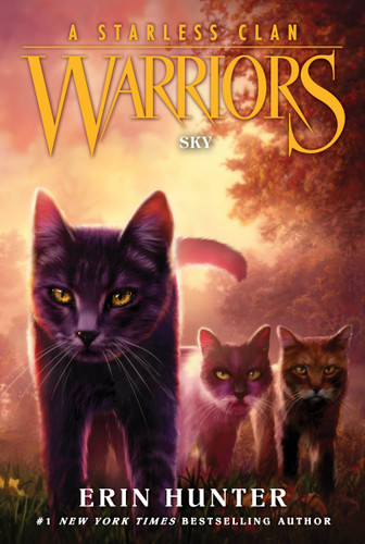 Warriors: A Starless Clan #2: Sky (Warriors: A Starless Clan #2) book cover by Erin Hunter