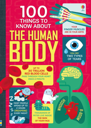 100 Things to Know About the Human Body (100 THINGS TO KNOW ABOUT #3) book cover by Alex Frith, Minna Lacey, Matthew Oldham, Jonathan Melmoth