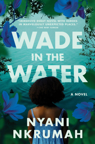 Wade in the Water: A Novel [9780063226623]