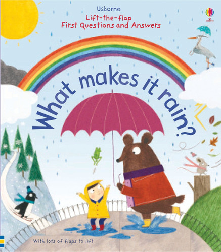 First Questions and Answers: What makes it rain? (First Questions and Answers) book cover by Katie Daynes