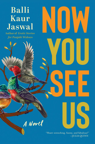 Now You See Us: A Novel book cover by Balli Kaur Jaswal