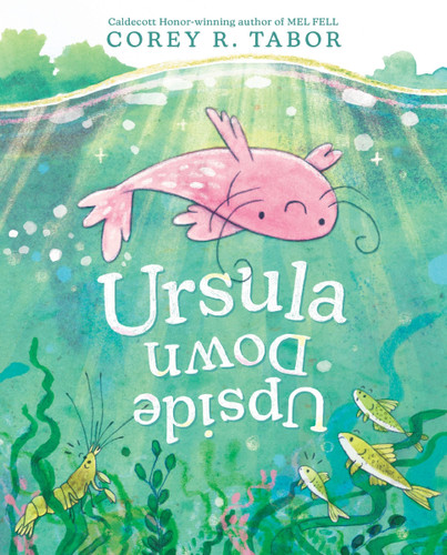 Ursula Upside Down book cover by Corey R. Tabor