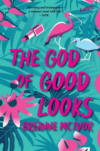The God of Good Looks: A Novel book cover by Breanne Mc Ivor