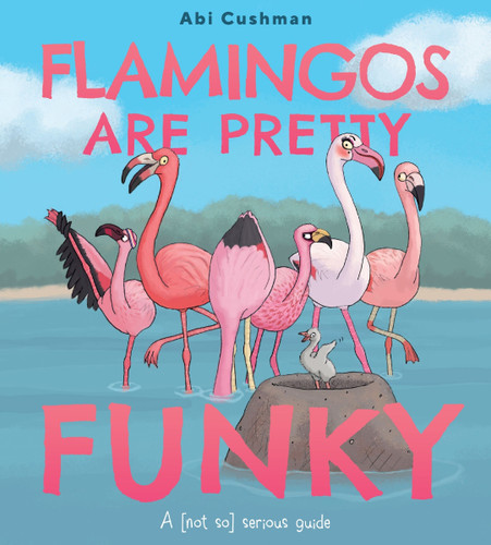 Flamingos Are Pretty Funky: A (Not So) Serious Guide book cover by Abi Cushman