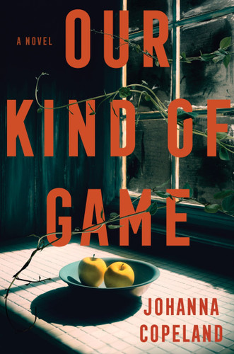 Our Kind of Game: A Novel book cover by Johanna Copeland