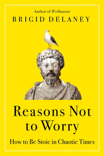 Reasons Not to Worry: How to Be Stoic in Chaotic Times book cover by Brigid Delaney