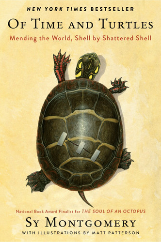 Of Time and Turtles: Mending the World, Shell by Shattered Shell book cover by Sy Montgomery
