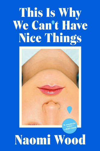 This Is Why We Can’t Have Nice Things book cover by Naomi Wood