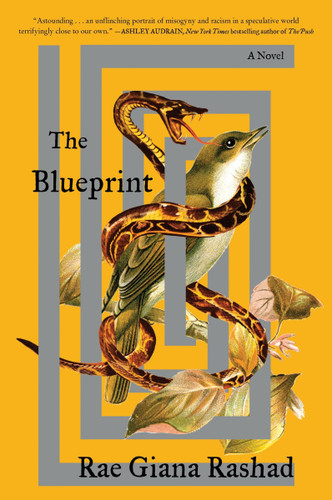 The Blueprint: A Novel book cover by Rae Giana Rashad