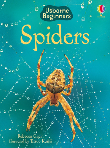 Spiders (Usborne Beginners) (Beginners) book cover by Rebecca Gilpin