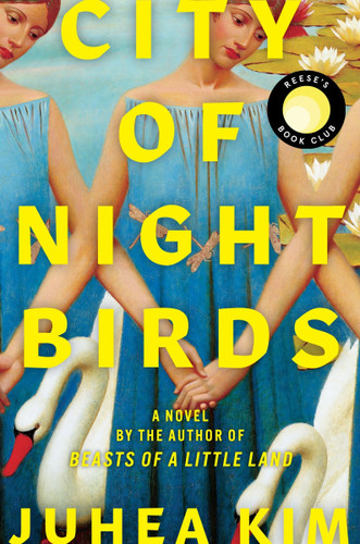 City of Night Birds: A Novel book cover by Juhea Kim