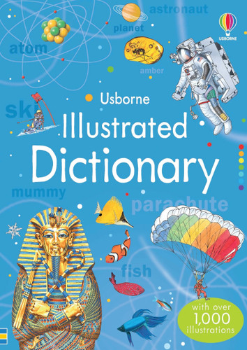 Illustrated Dictionary (Illustrated Dictionaries and Thesauruses) book cover by Jane Bingham