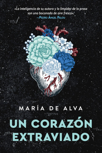 Un corazón extraviado: Lost Heart (Spanish Edition) book cover by Maria de Alva