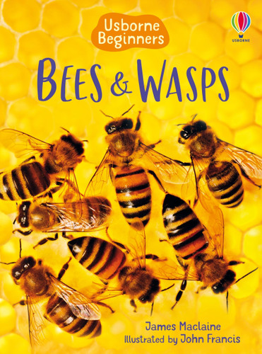 Bees and Wasps (Usborne Beginners) (Beginners) book cover by James Maclaine