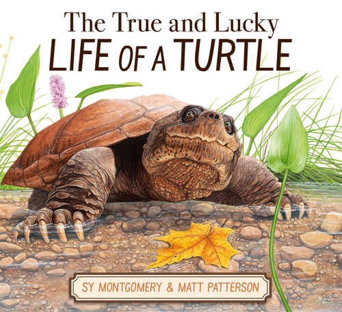 The True and Lucky Life of a Turtle book cover by Sy Montgomery